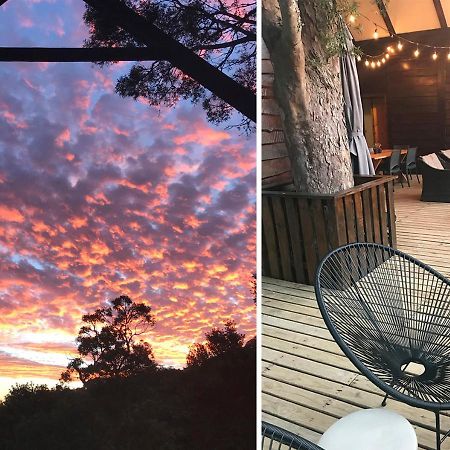Forestchild Self Catering, The Crags Villa Exterior foto